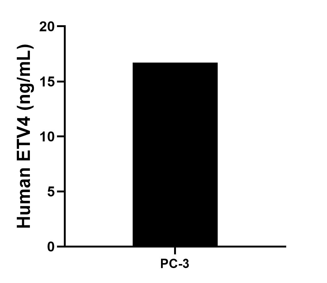 Sample test of MP00867-2